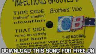 Brothers' Vibe Infectious Grooves 2 Elevation