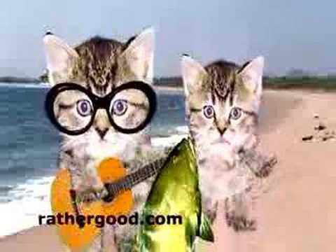 The Fishy Song - rathergood