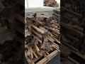 Italian Olive Wood Cookies Rounds Woodworking