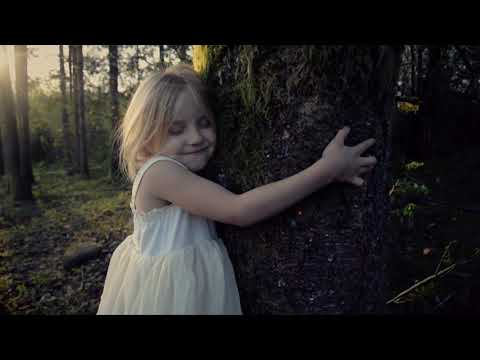 The memory of trees ~ Enya