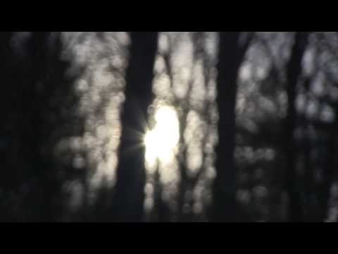 Rez TheSilverback- Skeletons (remix) (Official Music Video)