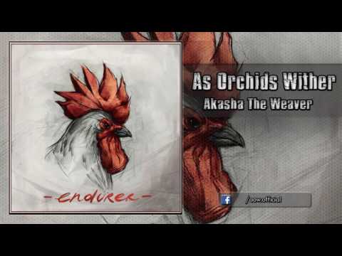 As Orchids Wither - Akasha The Weaver [From split album with: 8 m/s]