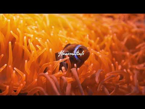 Stanton Warriors (feat. Sian Evans) - Up2U