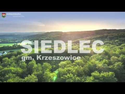 Domek rekreacyjny na działce budowlanej w Siedlcu gm. Krzeszowice