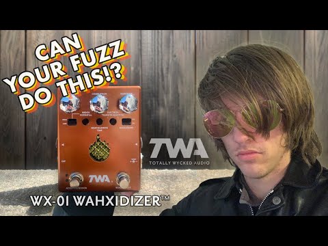 Envelope-Control, EQ-Control, Out-of-Control Octave Fuzz, the TWA Wahxidizer