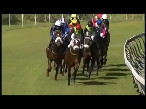 2016.11.19 Selangor Cup (RSA) - Gold Standard