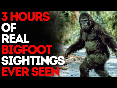 3+ Hours Bigfoot ULTRA MARATHON | Bigfoot Documentary | Bigfoot Encounters |  Vol 89 #bigfoot 2024
