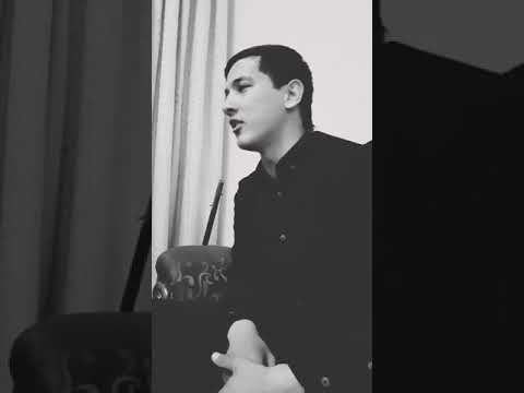 arslan meredow janly ses