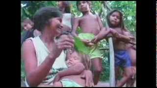 Muita terra pra pouco índio?