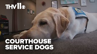 Courthouse service dogs