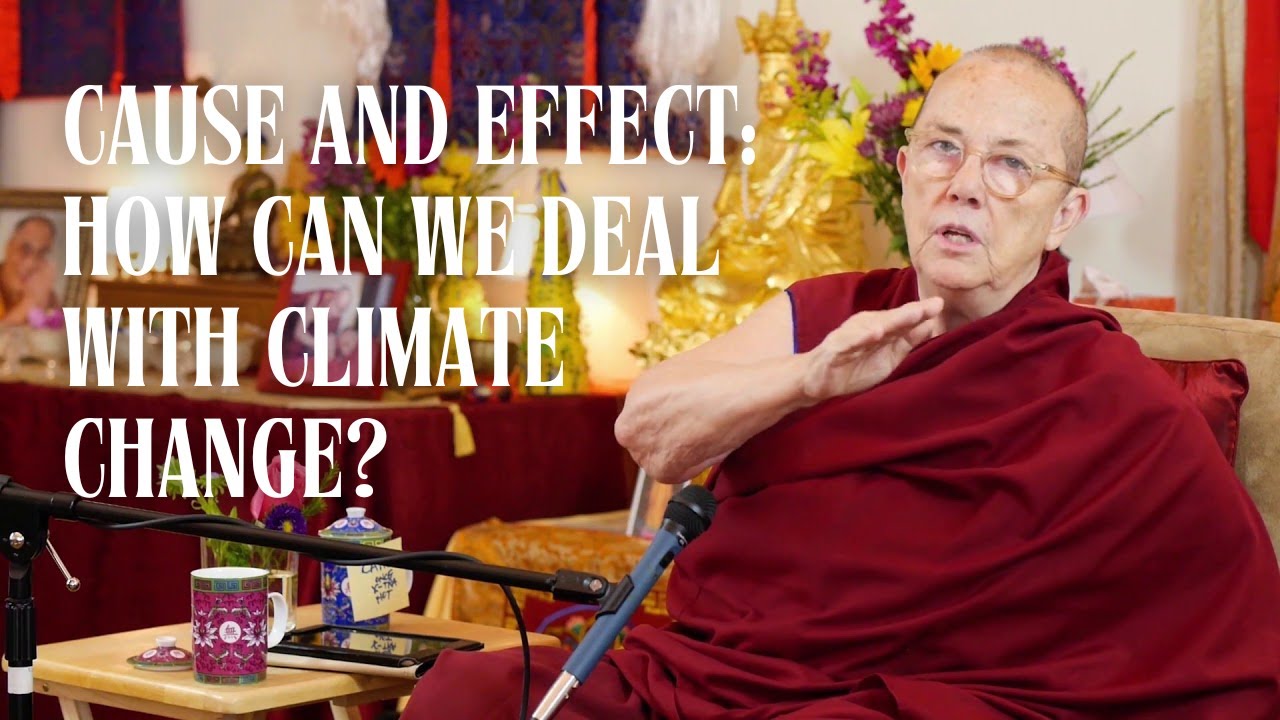 Cause and effect: how can we deal with climate change?