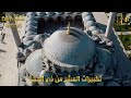 Clip 1