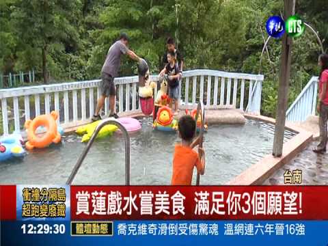 賞蓮戲水嘗美食 遊白河3種享受!