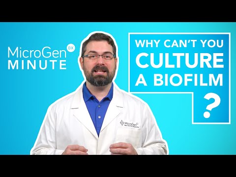 Why Can't You Culture a Biofilm? | MicroGenDX Minute Ep.3