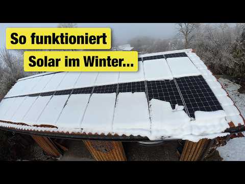 Strom trotz Schnee! UND: Saatgut jetzt bestellen für Gartensaison 2026