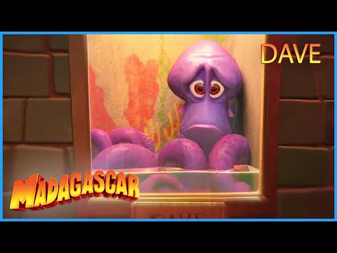 DreamWorks Madagascar | Dave's Story | Penguins of Madagascar Clip | Kids Movies