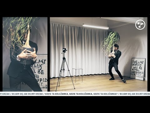 Ladaco — Bujny krzak