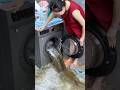 Washing Machine Cleaner Amazing Facts About Cleaning Gadgets Shorts Viral