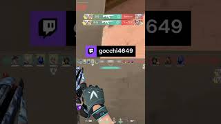 【VALORANT】カオスヴァンダルだけはガチ #Shorts | gocchi4649 (#Twitch)