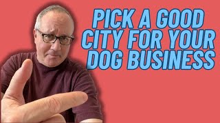 How To Pick A Dog Trainer City