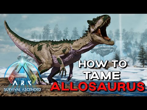 ARK Survival Ascended | How To Tame ALLOSAURUS /Trap for EASY Taming