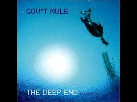 Gov't Mule - Sin's A Good Man's Brother.wmv