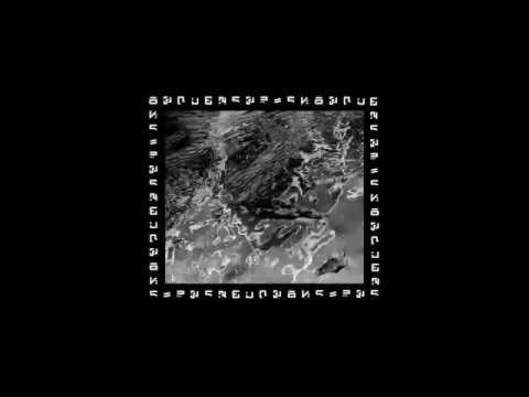 Video thumbnail for Iridescent Leaves Floating Downstream