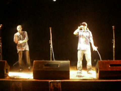 Sinergyst - Live At Toads Place