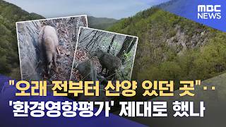 광산 개발 환경영향평가 부실 , 허가 이후 산양 이동 확인 (2026.04.24/뉴스데스크/MBC강원영동)