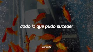 Julieta Venegas — Verte Otra Vez [Letra]
