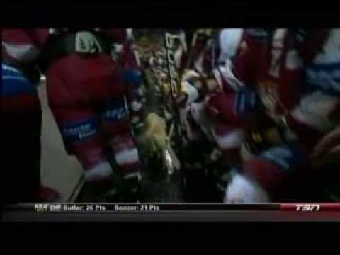 Spengler Cup dog December 30, 2013