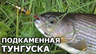 Рыбалка квест подкаменная тунгуска ленок