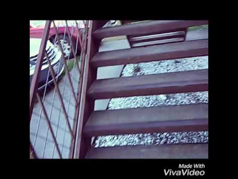 Young splash X yah yah( music video)