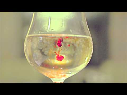 [브라운아이드걸스] Brown Eyed Girls 'Tonight 37.2°C' concert Teaser #1