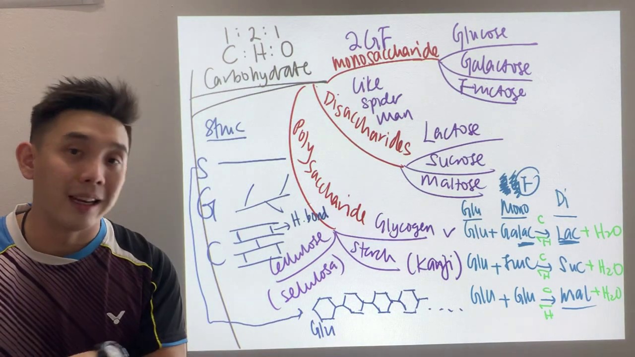 SPM Biology Form 4 : Carbohydrates (Mind Map)