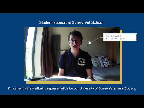 School of Veterinary Medicine: Admissions – the student perspective | University of Surrey