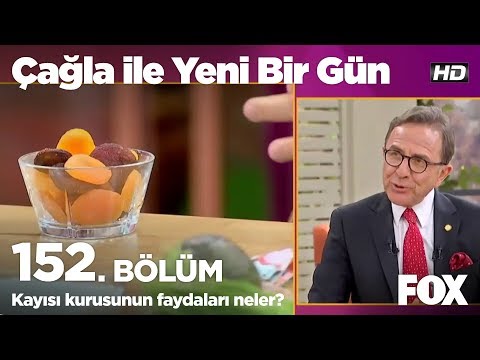 , title : 'Kayısı kurusunun faydaları neler? Çağla ile Yeni Bir Gün 152. Bölüm'