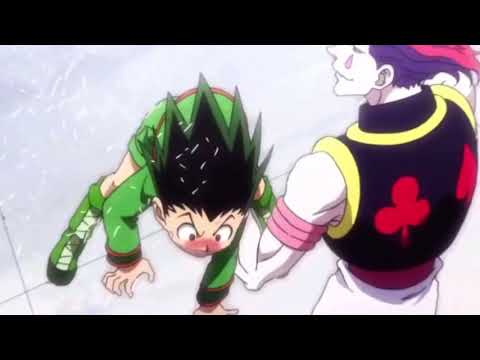 HISOKA v.s GON short edit