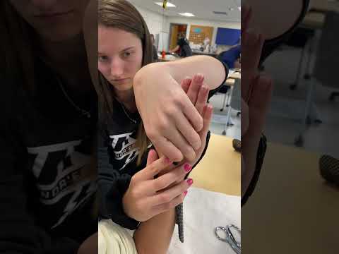 Orthotic Splint Making – UNE Occupational Therapy Lab