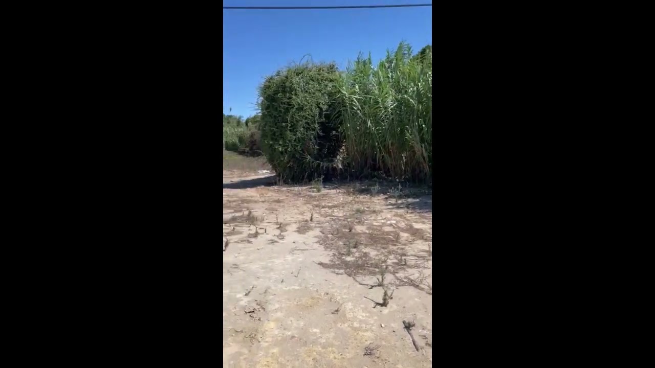 Vídeo do imóvel