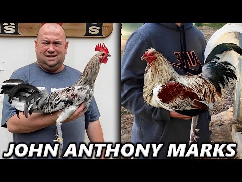 Beautiful MUG John Anthony Marks Farm