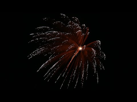 NICO Europe - Kugelbombe, 100 mm, silver strobe willow