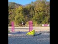 Super jument dressage par Glamourdale gros potentiel