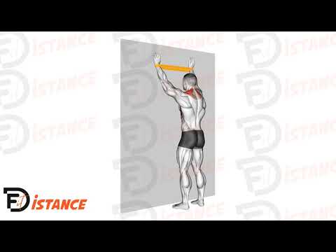 Spider Crawls avec élastique - Exercice Spider Crawls avec élastique en vidéo