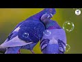 Mercury Poove Pudhiya Geethai MusiqueMelody
