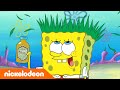 SpongeBob SquarePants | Meneer Krabs en Plankton zijn vrienden?! | Nickelodeon Nederlands