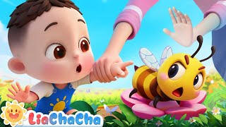 Download lagu Don't Touch Bugs | EP240 | Kids Learn Safety Tips | Nursery Rhymes & Kids Songs | LiaChaCha mp3