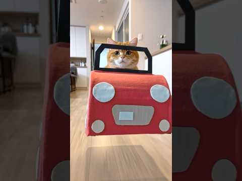 Baby Brother Flew Into the Sky!? Cat's Epic Rescue Mission🚁