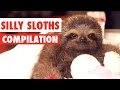 Silly Sloths Video Compilation 2017
