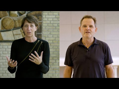 Conferência: High Touch - Desempenho humano